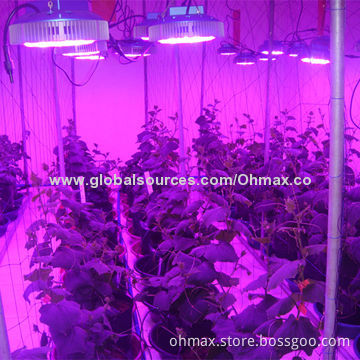 Round Indoor LED Grow Light, 90W, W/ Full Spectrum for Indoor Plants/Cucumber/Bitter Gourd/Lettuce